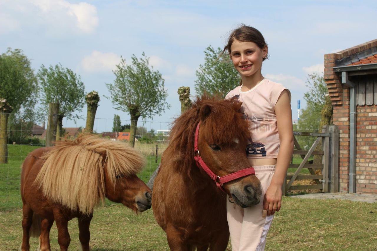 Domein Rietvelde *